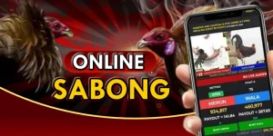Read more about the article Sabong Online Betting Guide for Filipino Players in 2025